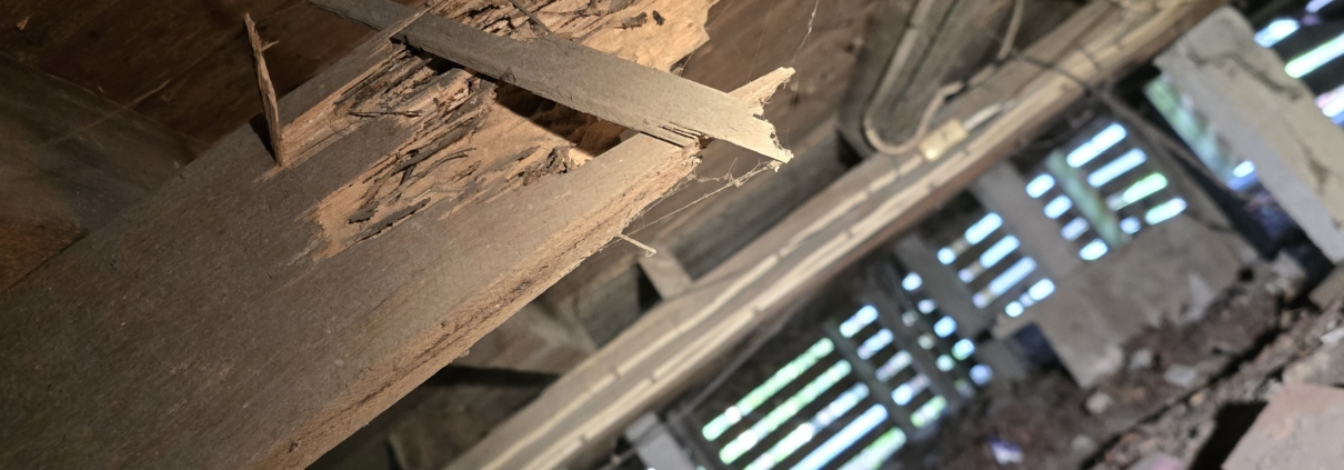 Termite damage to subfloor timber
