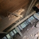 Termite damage to subfloor timber